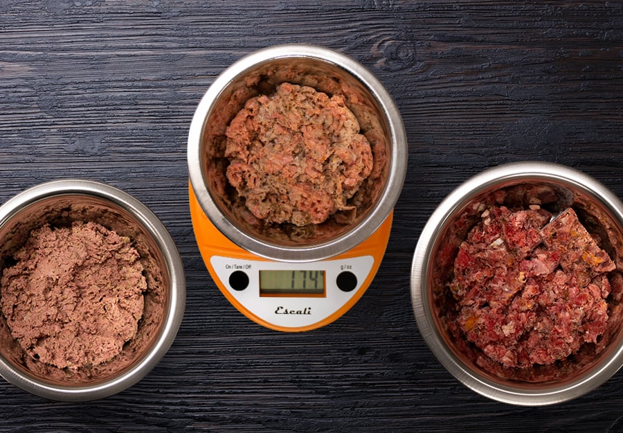 raw-dog-food-how-much-to-feed-article-feature