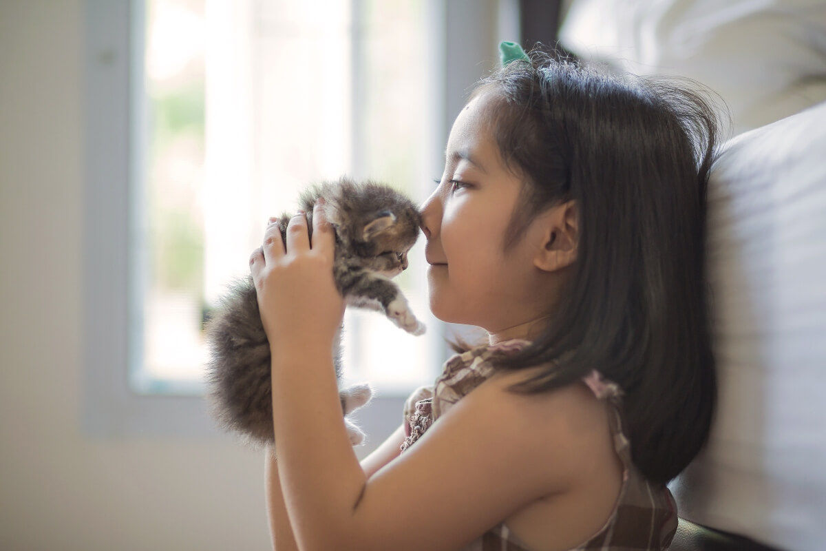 youg-girl-kissing-kitten-on-head