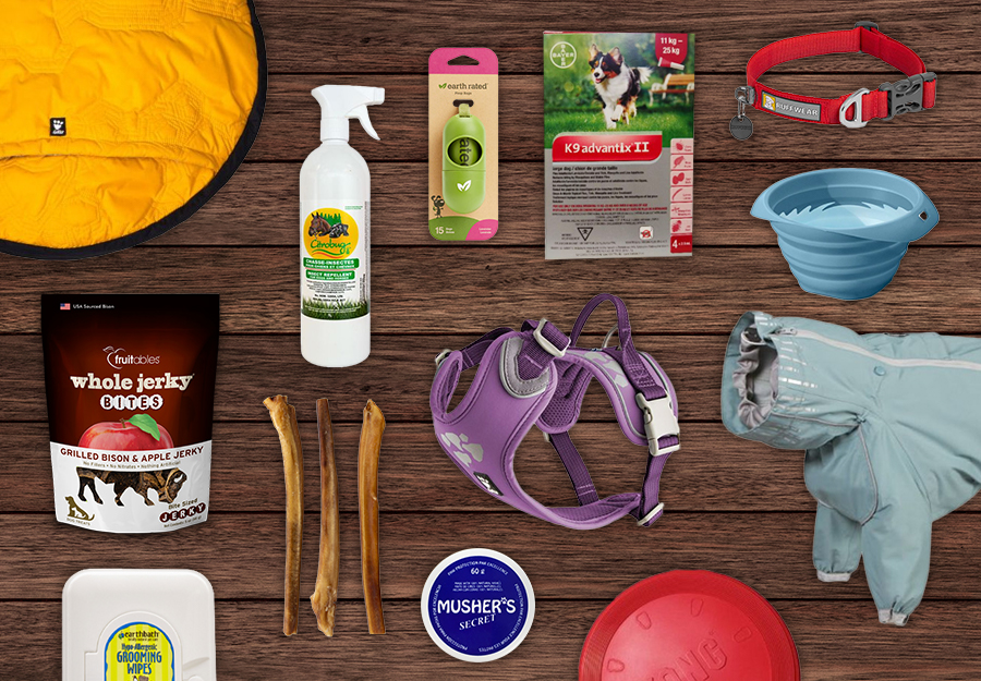camping-gear-guide-ultimate-checklist-article-feature