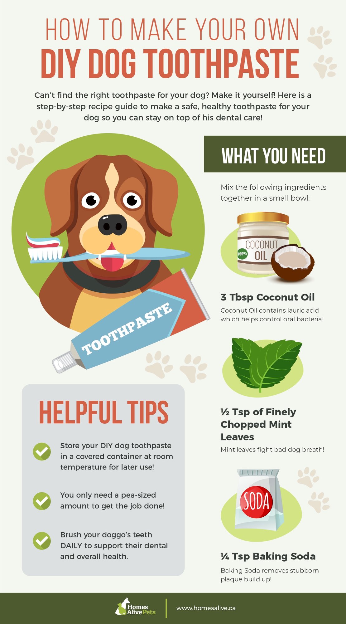 DIY Dog Toothpaste Infographic_page-0001