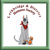 lethbridge-human-logo