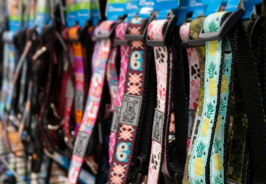 ultimate-dog-collar-guide-article-feature