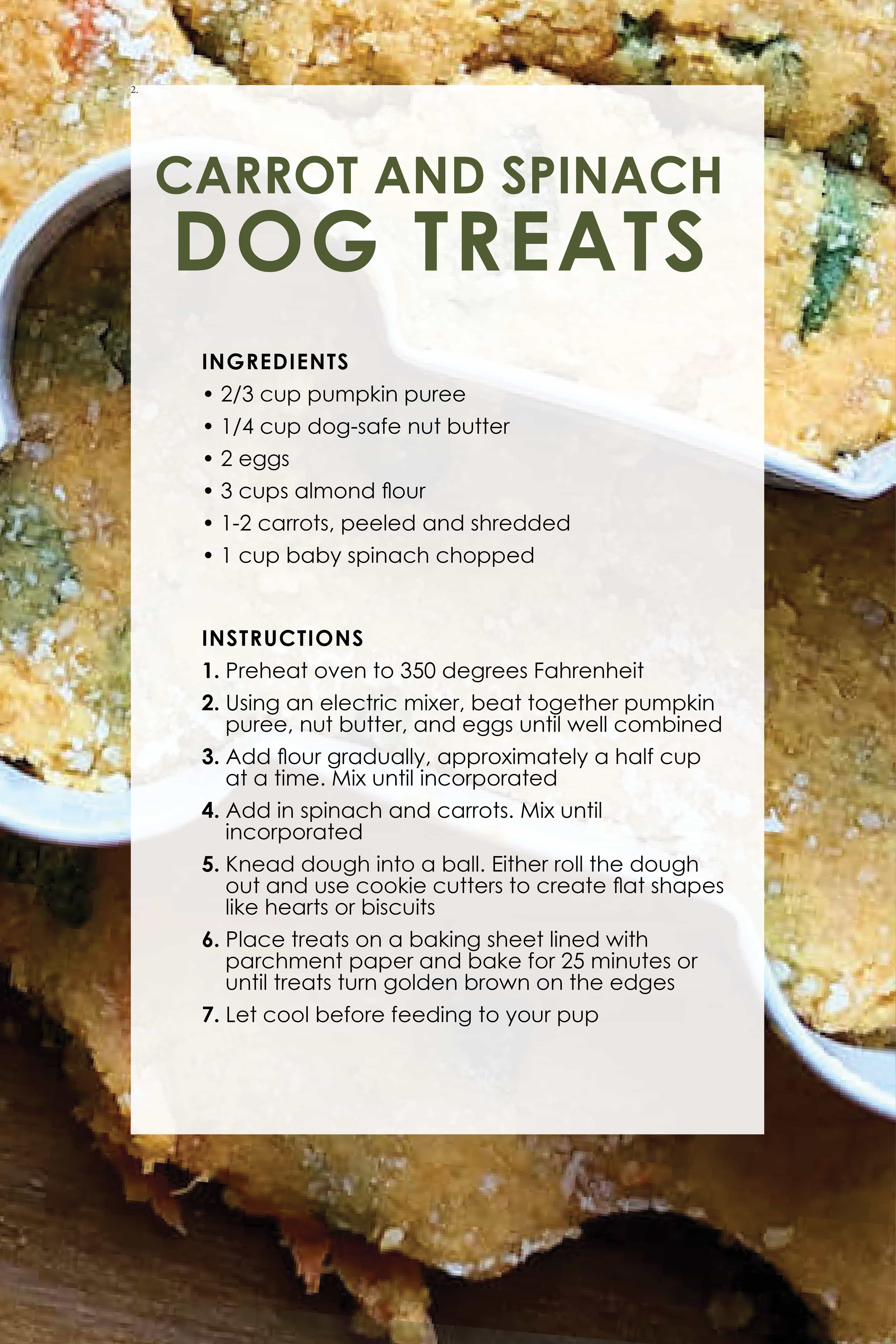 dog_treat_recipes_ro_AeFf6