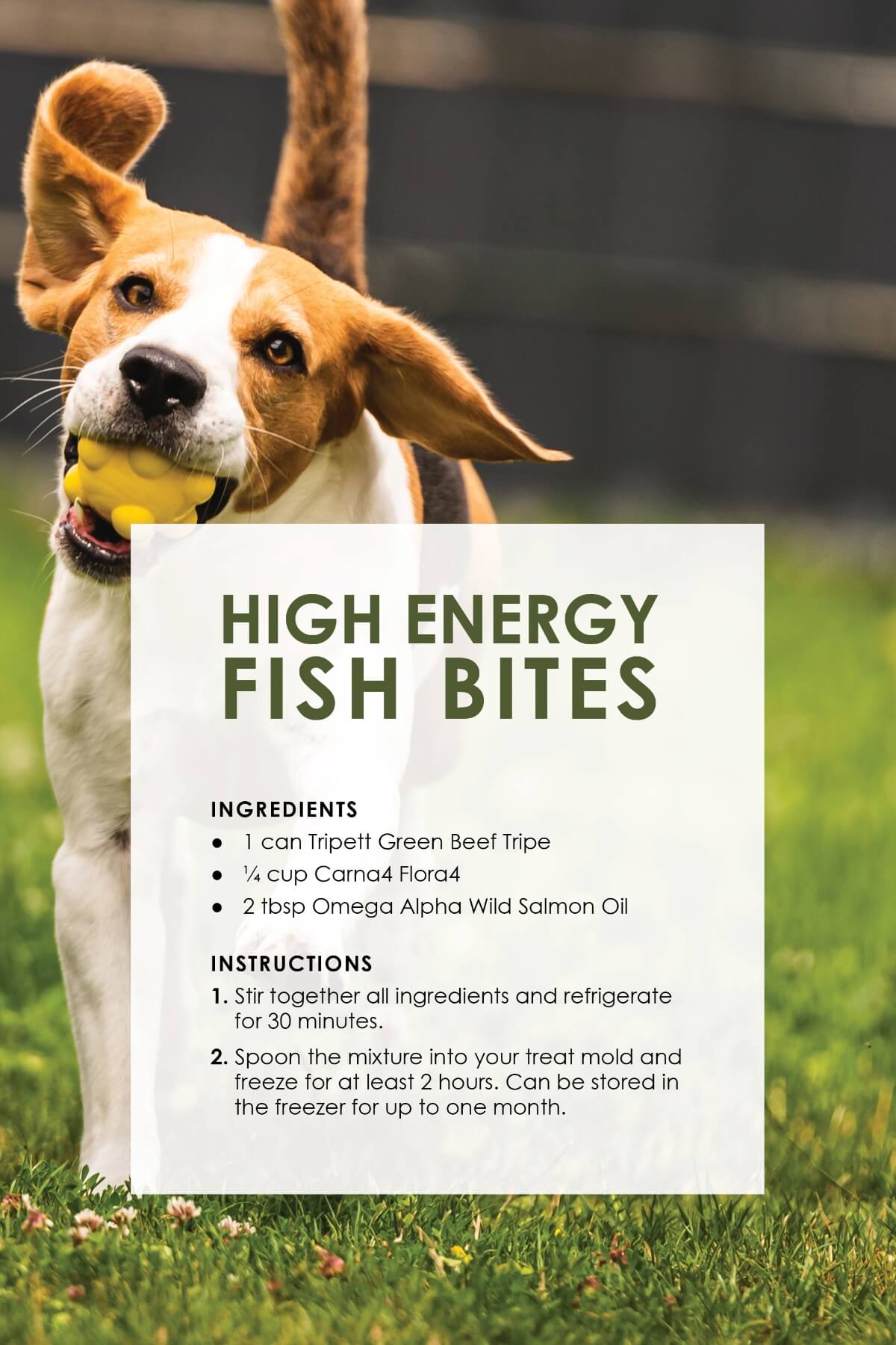 high-energy-fish-bites-s