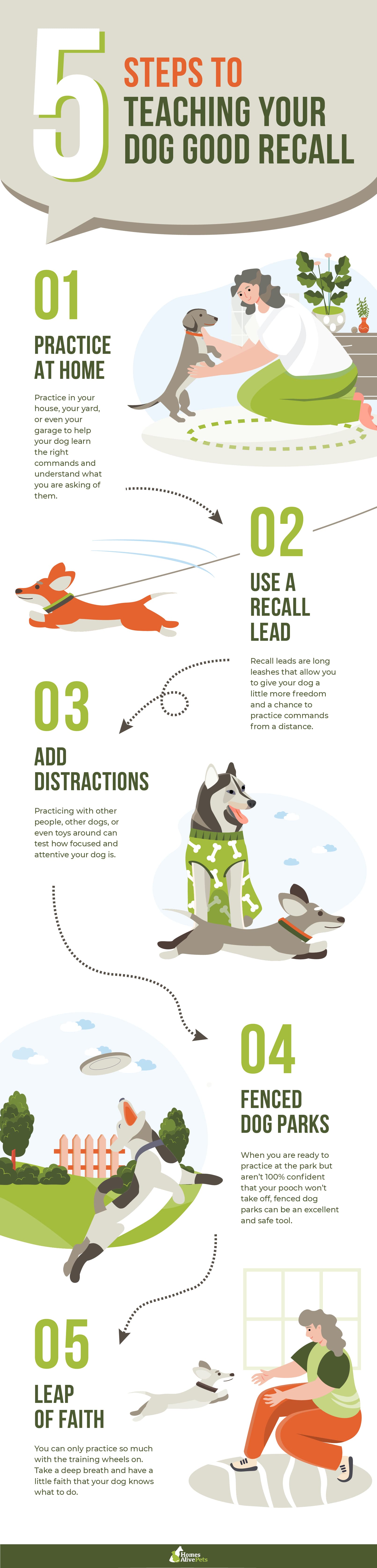 5 Steps to Teaching Your Dog Good Recall Infographic
