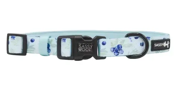 sassy-woof-dog-collar-1