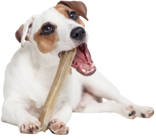 A COMPLETE GUIDE TO RAWHIDE FOR DOGS