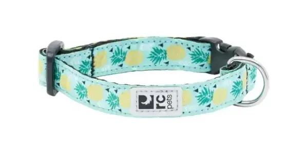 rcp-petite-clip-collar-pineapple-parade_1