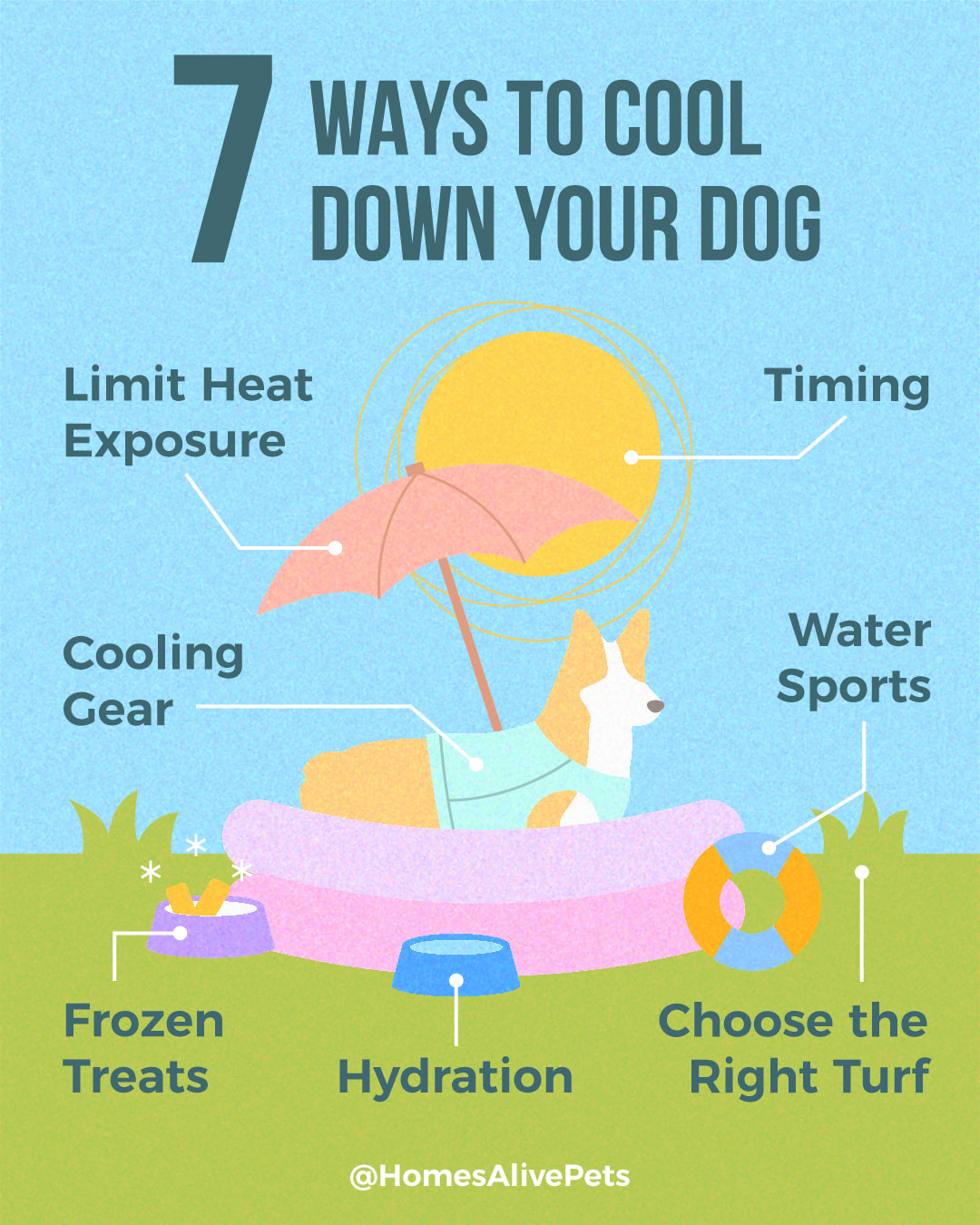 Tips for Keeping Your Dog Cool